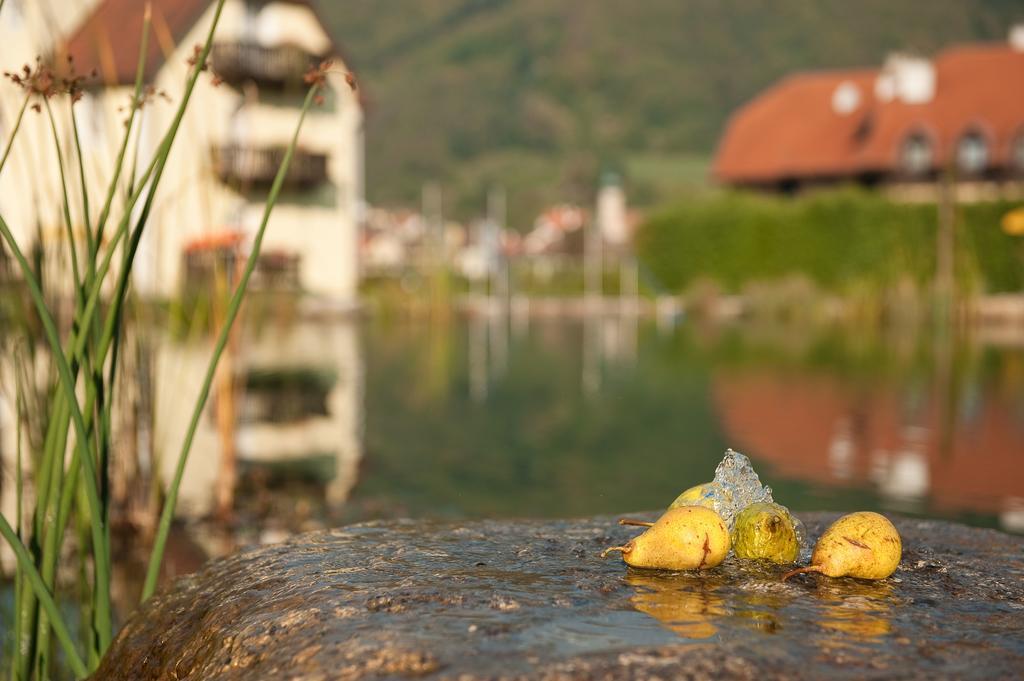 Romantikhotel Residenz Wachau Aggsbach Exteriér fotografie